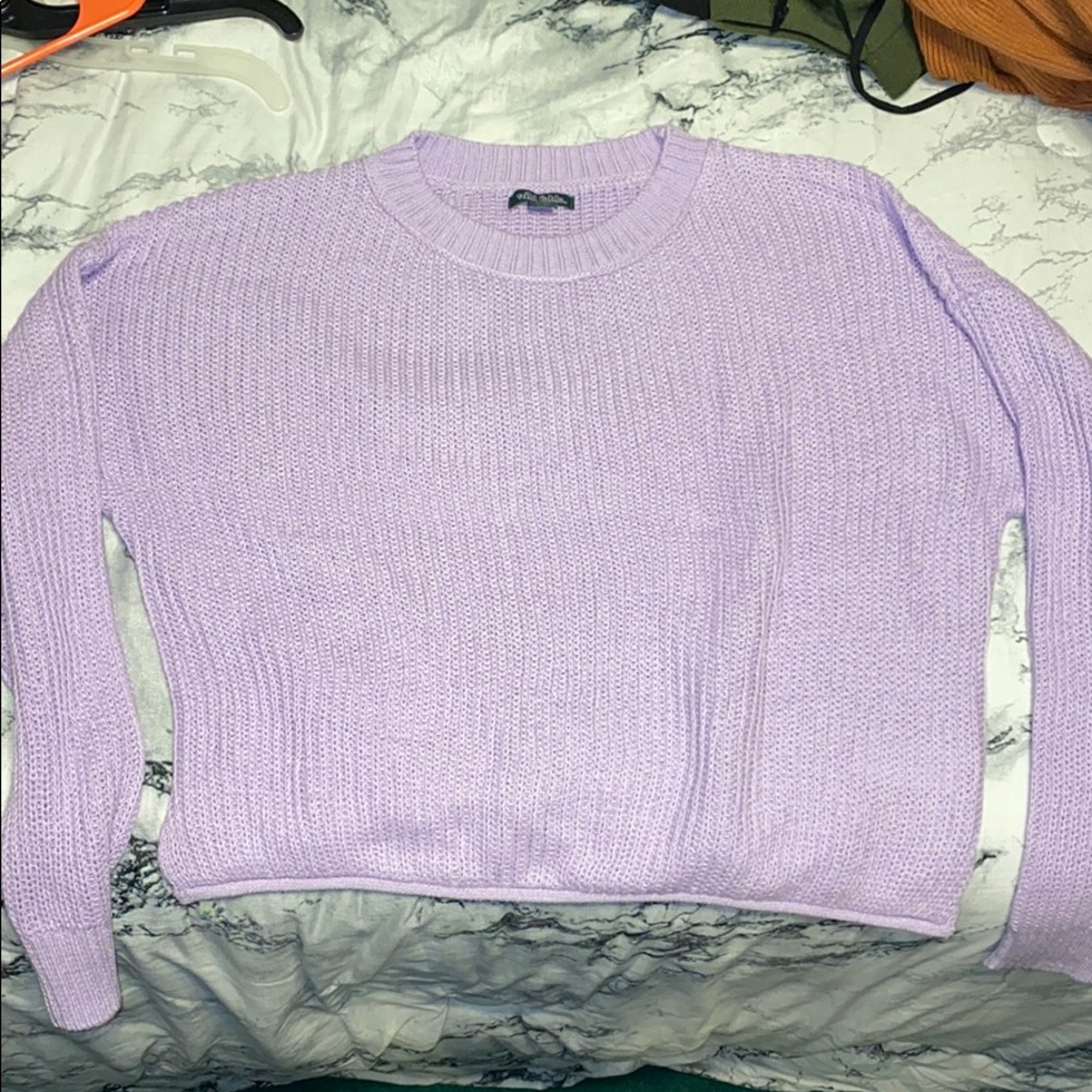 Wild Fable / Target crop sweater